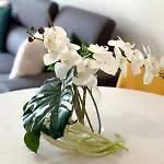 Sandie's Serene